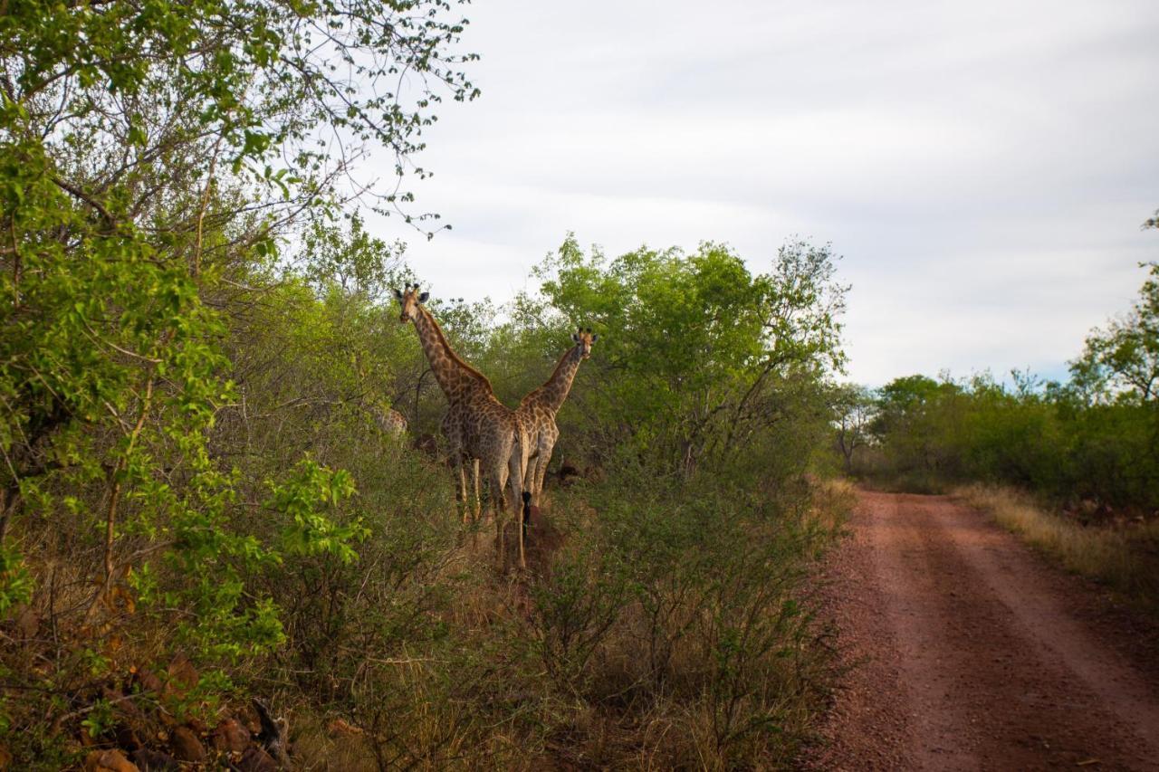 Nungu Game Lodge Lephalale Exteriör bild